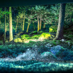 Samsung OLED-TV
