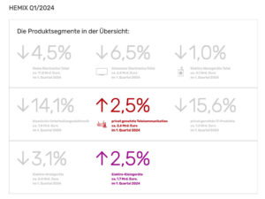 HEMIX, Verluste im 1. Quartal 2024